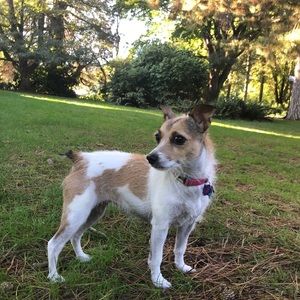 Meet your Posher, Adamaris